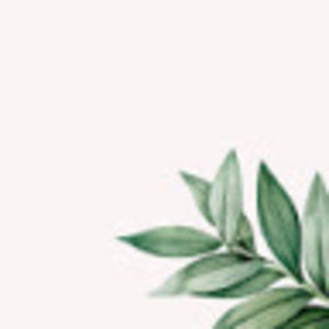 Meet your Posher, Shanice caruso